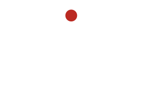 Exing SRL